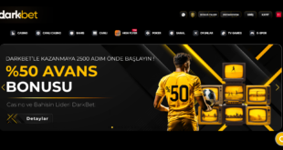 darkbet guncel giris adresi1740039858 Yeni Giriş Adresi 2025